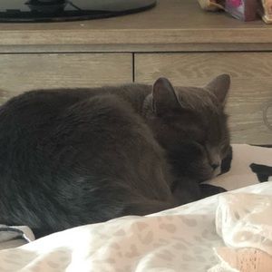 Meet your Posher, Madeline